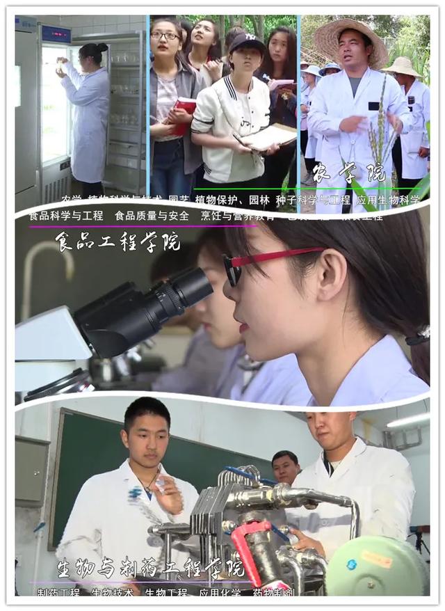 吉林农业科技学院2020年招生简章发布！你想知道的都在这儿