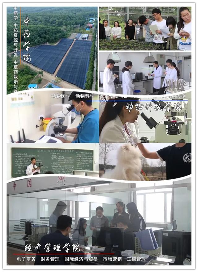 吉林农业科技学院2020年招生简章发布！你想知道的都在这儿
