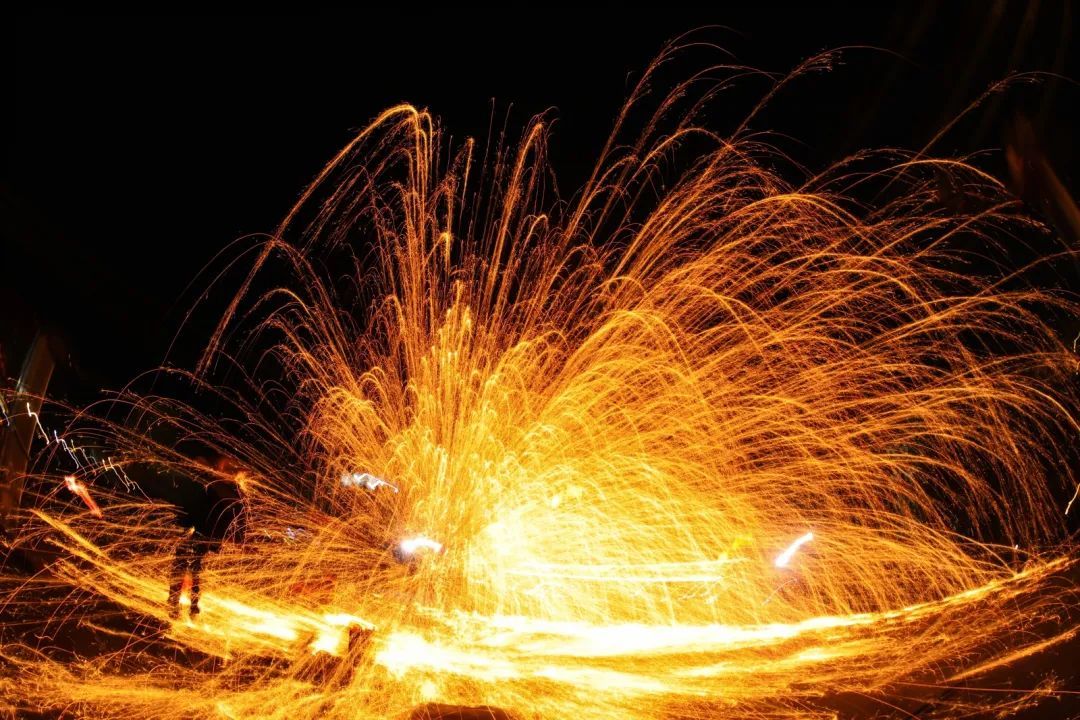 今晚 兰科 太太 火了