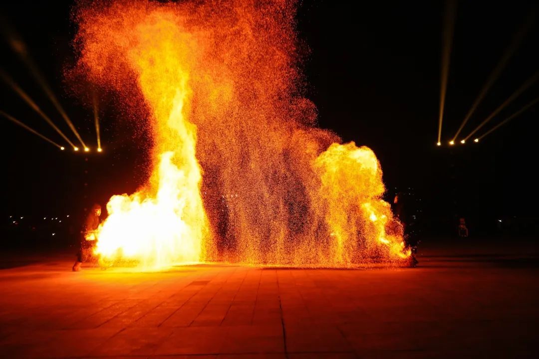 今晚 兰科 太太 火了