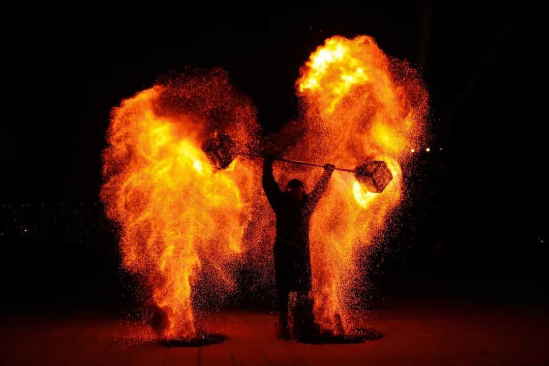 今晚 兰科 太太 火了