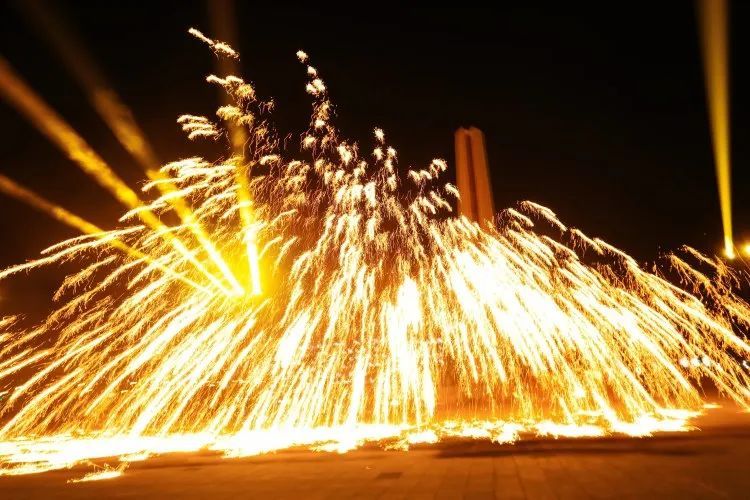 今晚 兰科 太太 火了